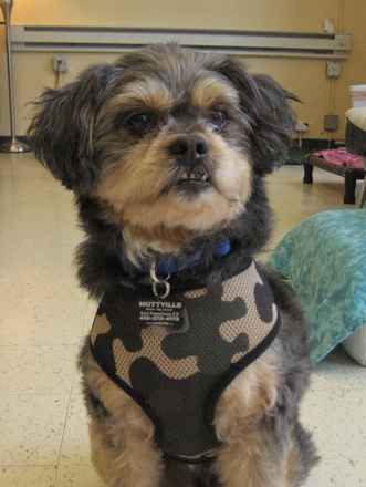 Baxter
