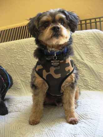 Baxter
