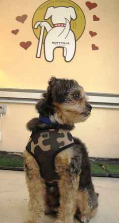 Baxter
