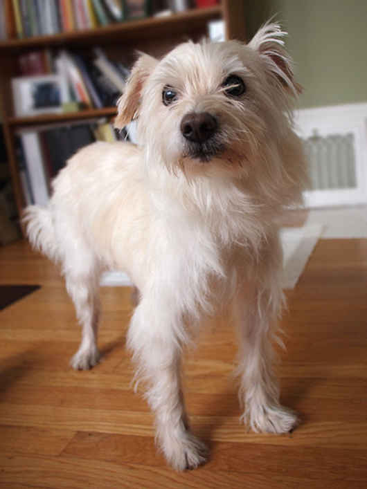Sy