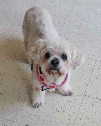 Babette