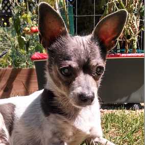 Rosita