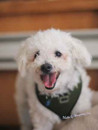 Benji
