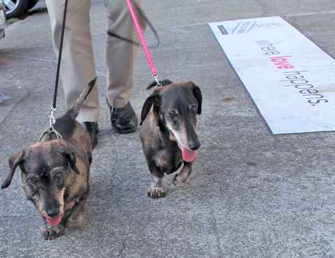 Mitzie & Merlot