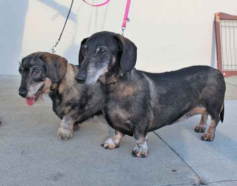 Mitzie & Merlot