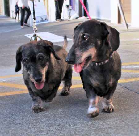 Mitzie & Merlot