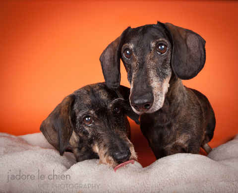 Mitzie & Merlot