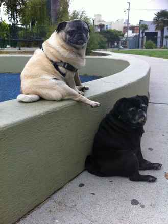 Harold & Peggy Sue