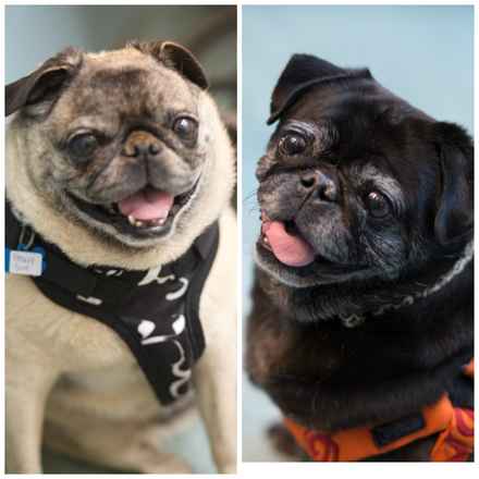 Harold & Peggy Sue