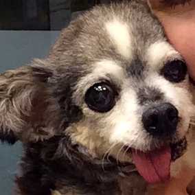 Mindy