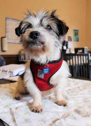 Fritz