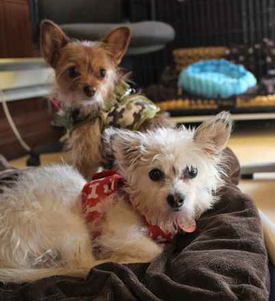 Gracie & George