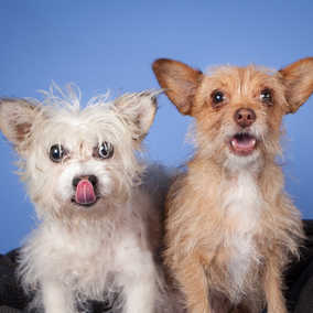 Gracie & George