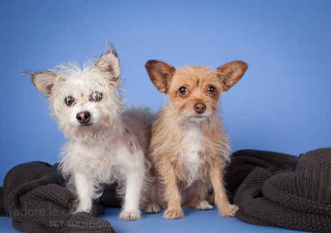 Gracie & George