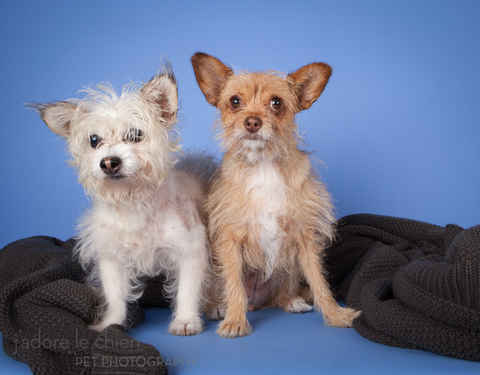 Gracie & George