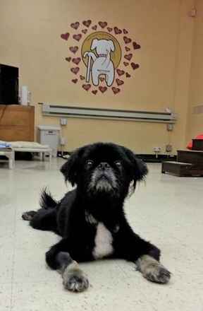 Tai