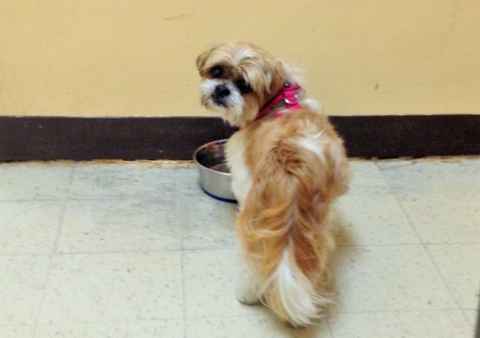 Wally