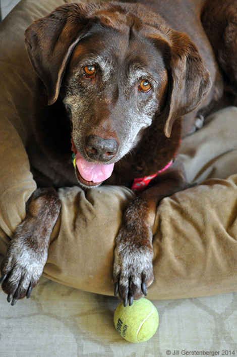 Sierra