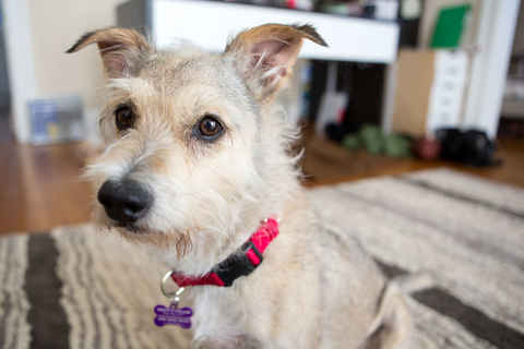 Suzie