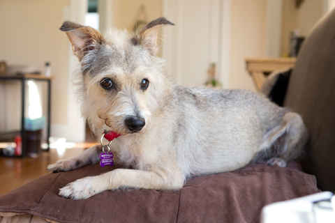 Suzie