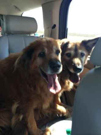 Jazmin & Maxie