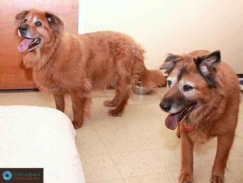 Jazmin & Maxie