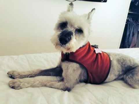 Bam Bam