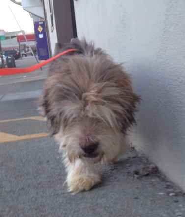 Ralph