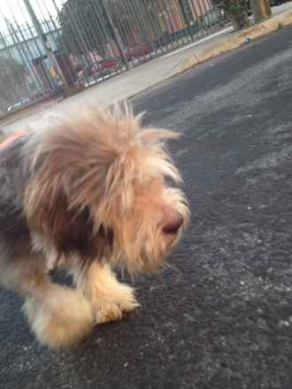 Ralph