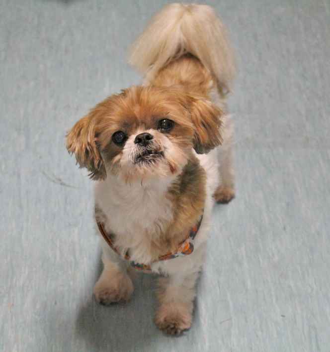Max