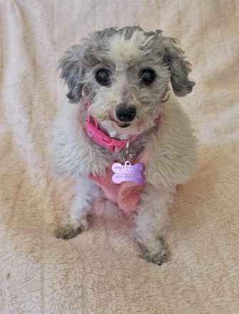 Gertie
