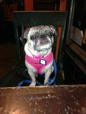 Molly
