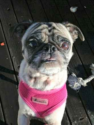 Molly
