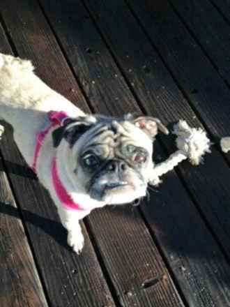 Molly