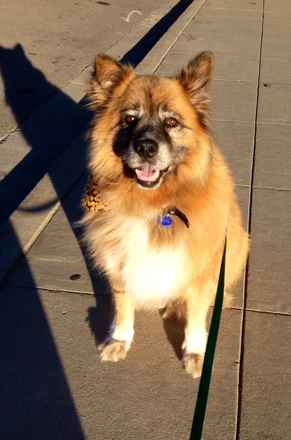 Tucker