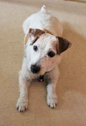 Duncan