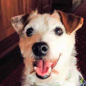 Duncan