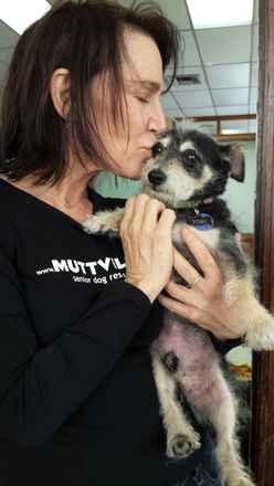 Toby