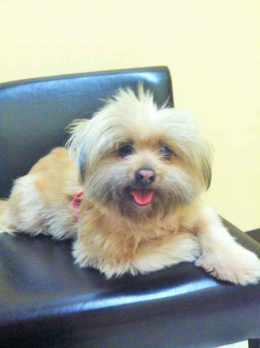 Gilly