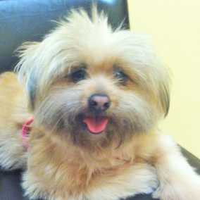 Gilly