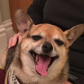 Gumbo