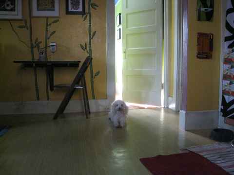 Moby