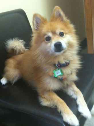 Cubby