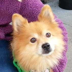 Cubby