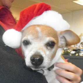 Jingles