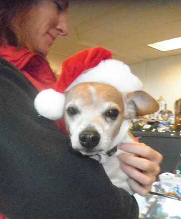 Jingles