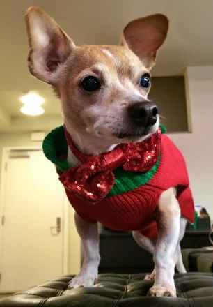 Jingles