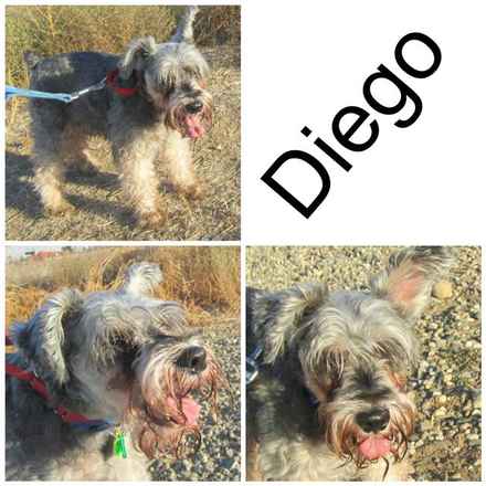 Diego