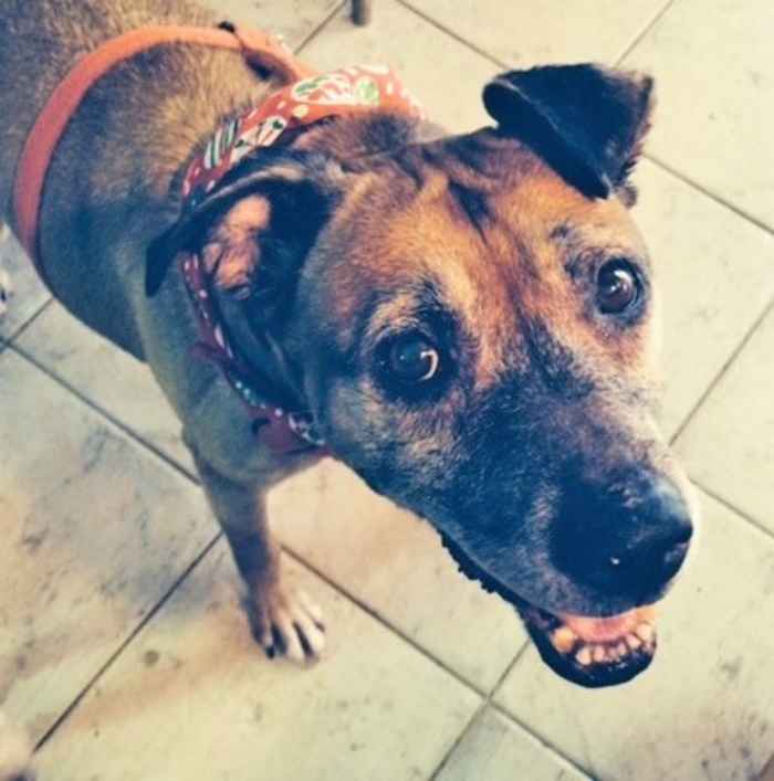 Roxie