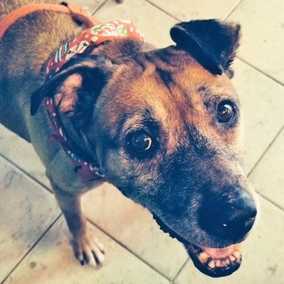 Roxie